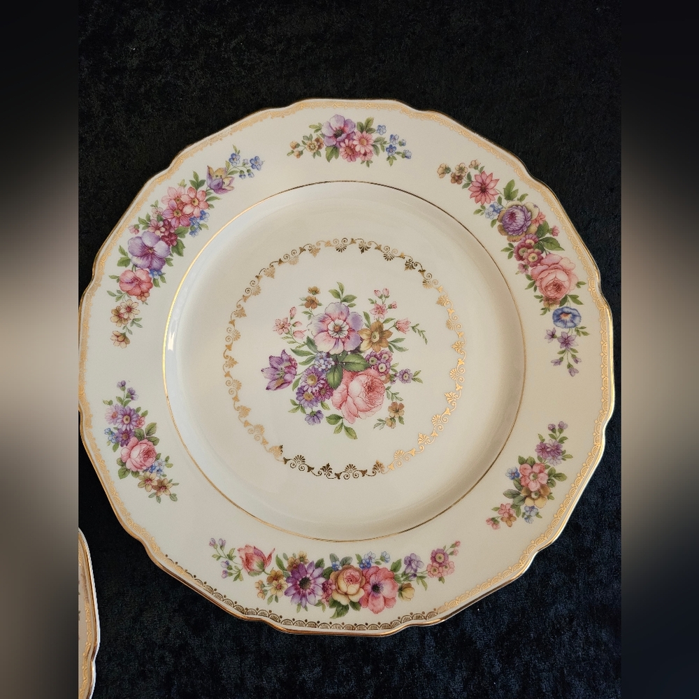 Set Of 4, Gorgeous Sylvia - Thomas Ivory Bavaria Dinner Plates - Picture 3 of 9